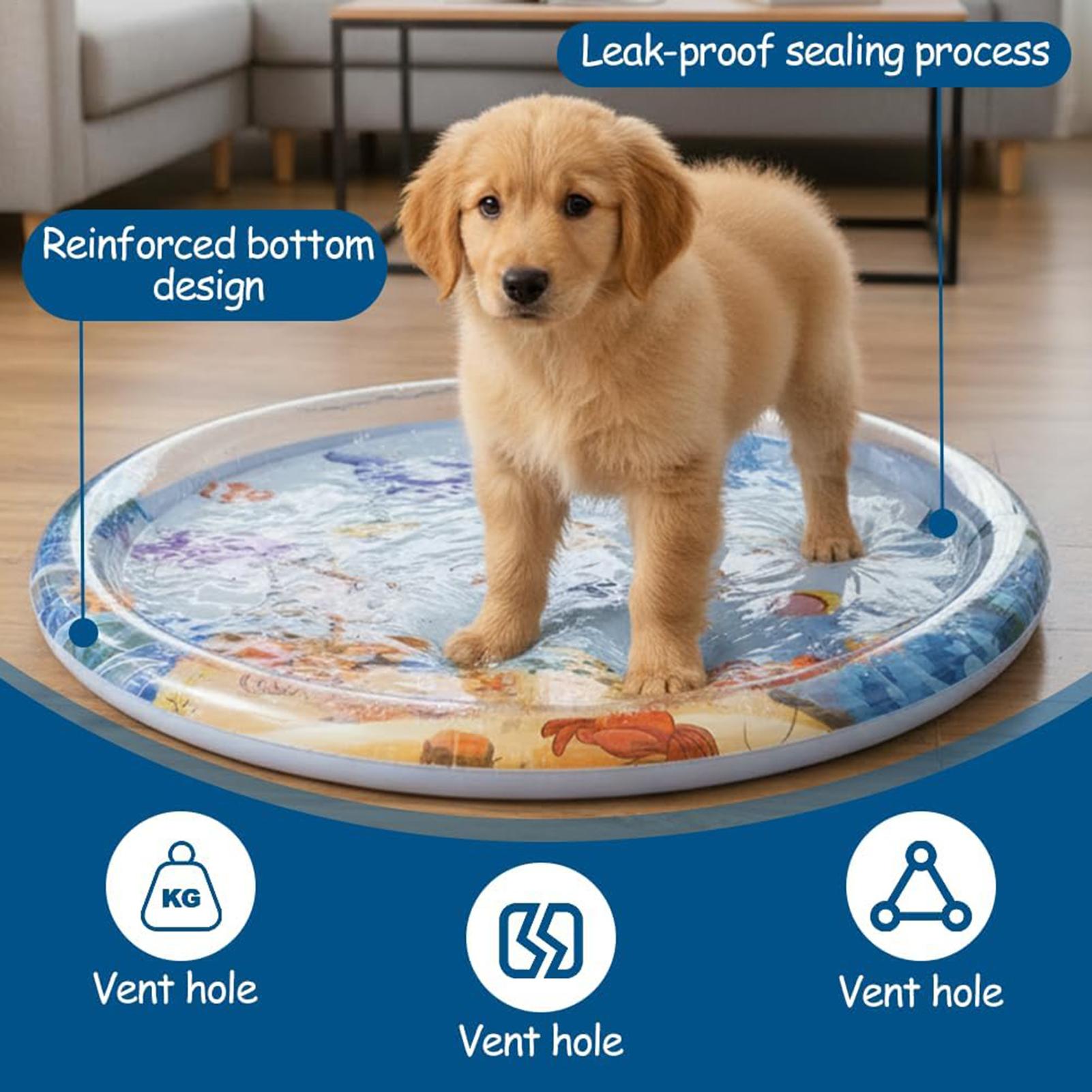 Slip Slide Water Mat - Verdikte interactieve katten speelmat waterbed sensorische