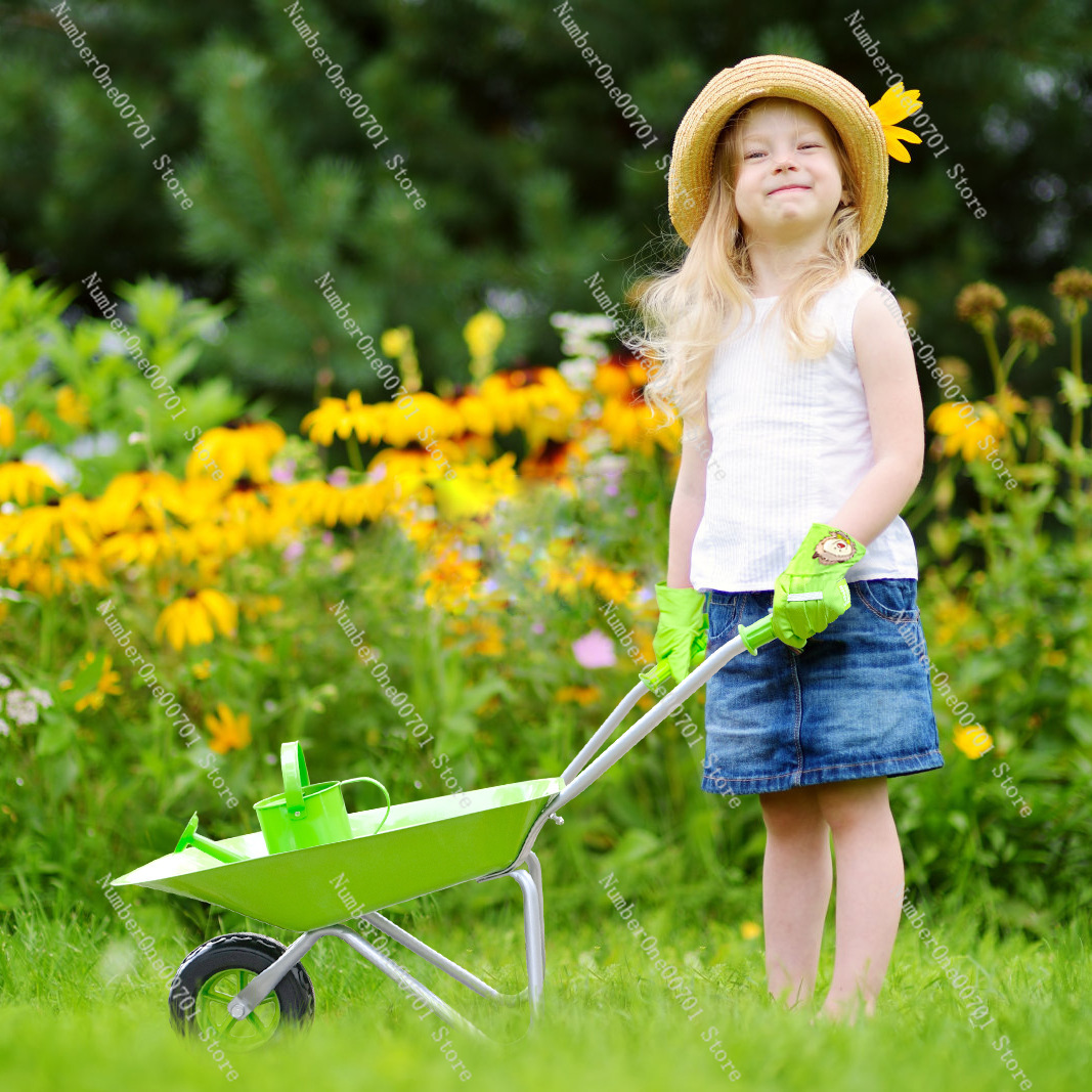 Kinderbuitenwielkar, groene tu - Kids Outdoor Garden Toys recensie en prijs