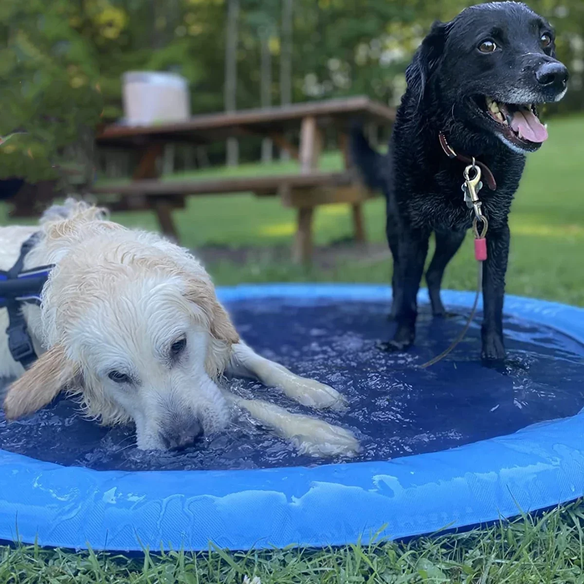 100/150/200 Cm Zomer Huisdier  - Slip Slide Water Mat recensie en prijs